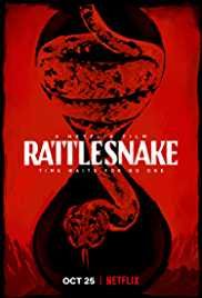 Rattlesnake 2019 Dual Audio Hindi 480p 300MB Filmy4WEB